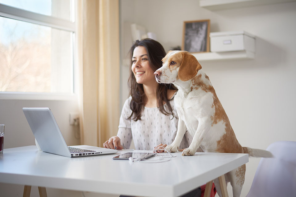 home office