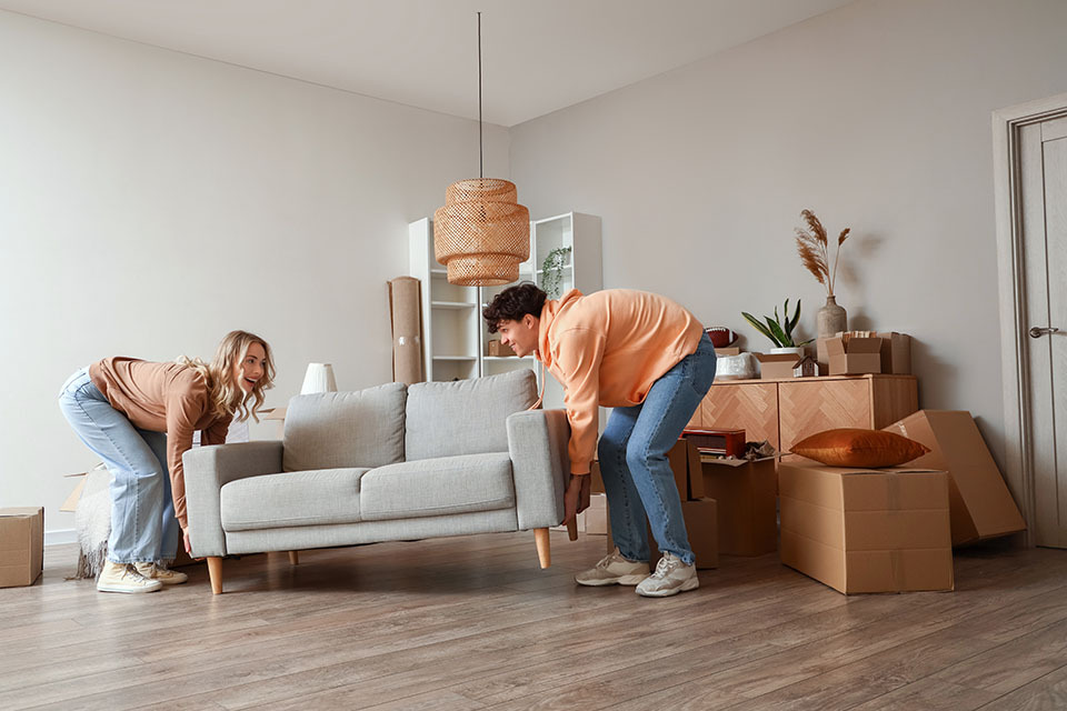 furniture