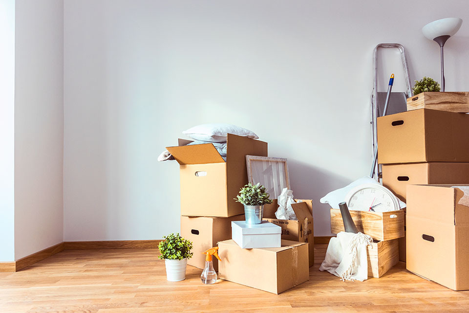 boxes
