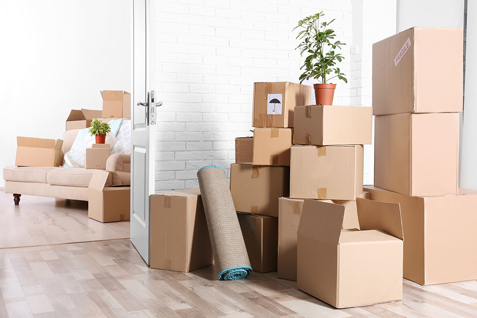 boxes